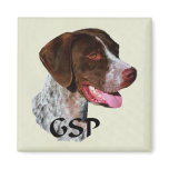 German Shorthaired Pointer Gifts Magnet