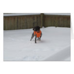 German Shorthaired Pointer in the Snow Greeting Cards