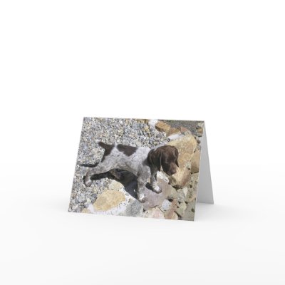 German Shorthaired Pointer Puppy Greeting Card by sassybellewares