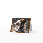 German Shorthaired Pointer Puppy Chillin' Card