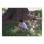 German Shorthaired Pointer Puppy Under a Tree Card