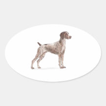 German Shorthaired Pointer Stickers