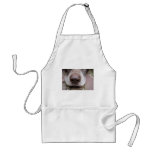 German shorthaired pointers nose apron
