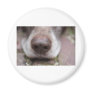 German shorthaired pointers nose refrigerator magnet