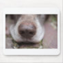 German shorthaired pointers nose mouse pads