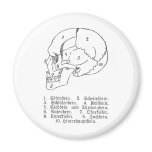 German skull magnet
