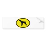 German Wirehaired Pointer