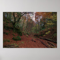 GermanForest Plakat