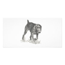 GermanWireHair Cartes De Vœux Avec Photo