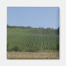 Germany, Franconia, Rothenburg. View along the Magnet