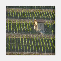 Germany, Franconia, Wertheim. Special hillside 2 Refrigerator Magnet