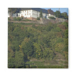 Germany, Franconia, Wertheim. Special hillside Magnet