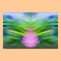 Germination posters