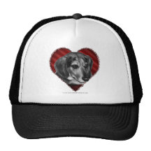 Gerry, beagle avec le coeur casquette de camionneur