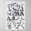 Gestures for miming  John Bulwer's 'Chrilogia posters