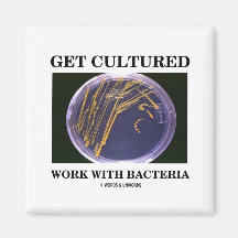 Get Cultured Work With Bacteria (Agar Plate) Fridge Magnets