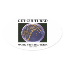 Get Cultured Work With Bacteria (Agar Plate)