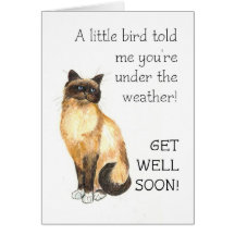 Get Well Card - Birman Cat