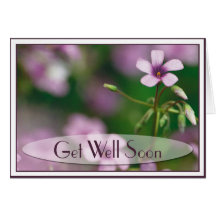 Get Well - Pink Wood Sorrel Greeting Card