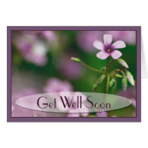 Get Well - Pink Wood Sorrel Greeting Card