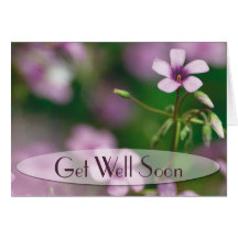 Get Well - Pink Wood Sorrel Greeting Card