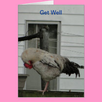 Get Well, Praying cards