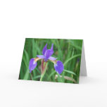 Get Well- Siberian Iris 2 cards