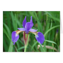 Get Well- Siberian Iris 2 Greeting Card