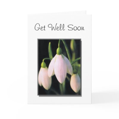 Get Well Soon and Thank you cards by greetingcards4u