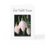 Get Well Soon and Thank you cards
