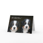 Get Well Soon Bernese mountain dog pups card