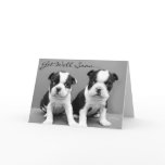 Get Well Soon Boston Terrier Puppies card