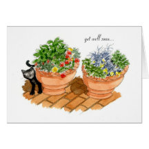 Get well soon, cat and herbs. cards