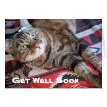 Get Well Soon Cat Cards