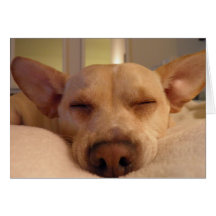 GET WELL SOON GREETING CARD