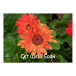 Get Well Soon Greeting Cards