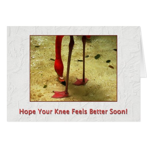 get-well-soon-knee-surgery-greeting-card-zazzle