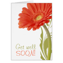 Get Well Soon | Orange Gerbera Daisy Greeting Cards