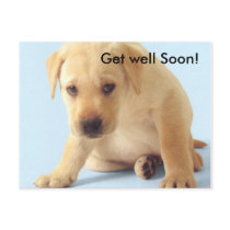 Get well Soon! Postcard