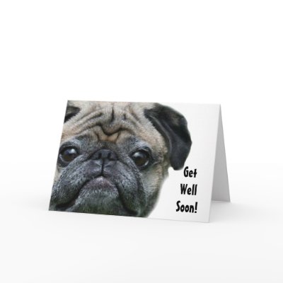 Get Well Soon Pug Dog greeting card by ritmoboxer