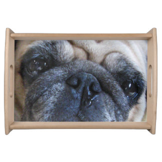 get well pug sick pug gifts t shirts posters other gift ideas zazzle get well pug sick pug gifts t shirts posters other gift ideas zazzle