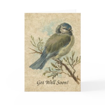 Get Well Soon, Vintage Bluetit Bird Cards by angelandspot