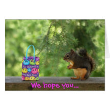 Get Well Squirrel Greeting Cards