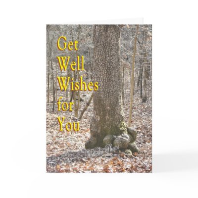 Get Well Wishes-customize Greeting Cards by MakaraPhotos