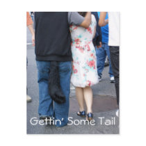 "Gettin' Some Tail" Postcard