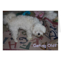 Getting Old? cards