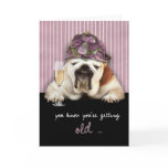 getting older, happy birthday, funny dog, pink hat greeting card
