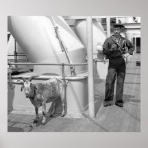 Getting One's Goat Posters