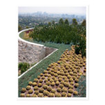 getty museum cacti post card