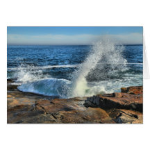Geyser de péninsule de Schoodic au parc national d Cartes De Vœux